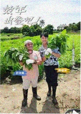 微光之城编剧手稿